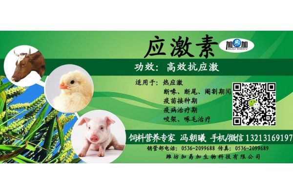 今年春节养猪场要注意事项